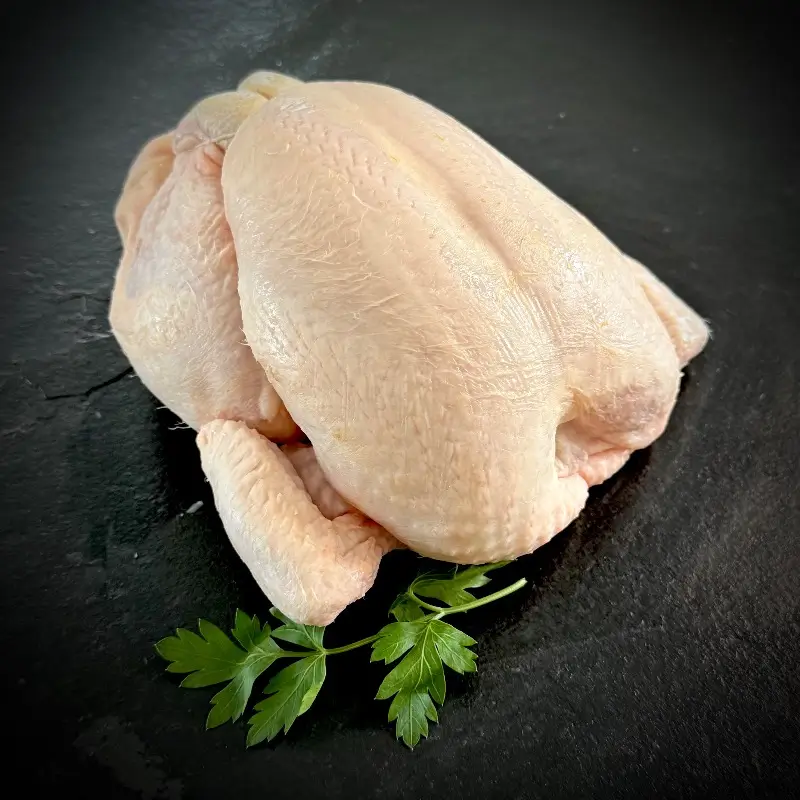 Free-Range Chicken